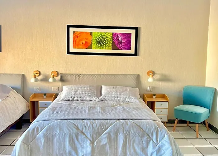 Casa Dei Girasoli Bed & Breakfast Cabo San Lucas
